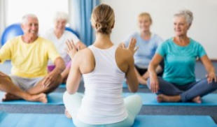 Image of woman leading a group of seniors in exercise