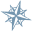 [Compass star image used as list bullet]